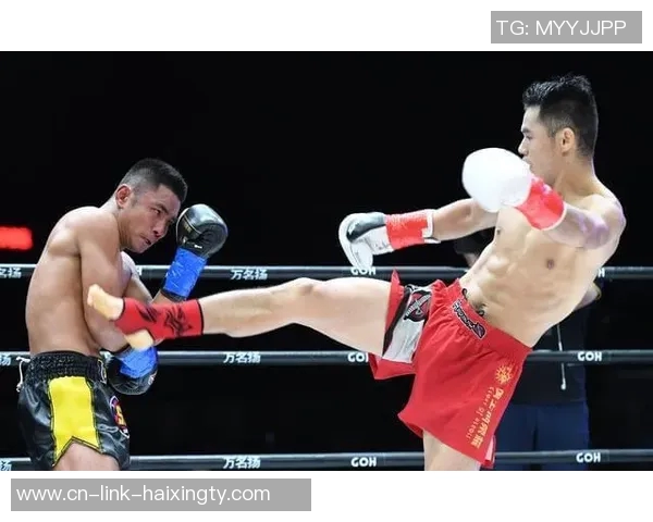 魏锐视频对决分析与精彩瞬间回顾全方位解读战斗策略与技巧 魏锐视频对决分析与精彩瞬间回顾全方位解读战斗策略与技巧